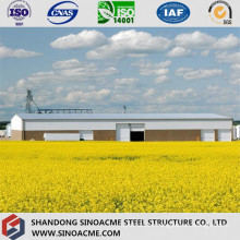 Heavy Steel Construction / Steel Building for Industrial Plant